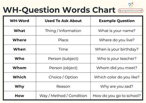 WH Questions Chart Illustration