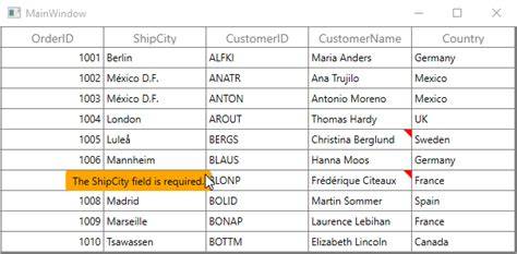 WPF DataGrid Selection Error