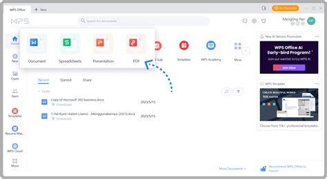 WPS Office