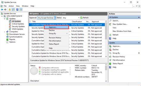 WSUS Update