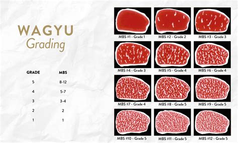 Wagyu Grading Chart
