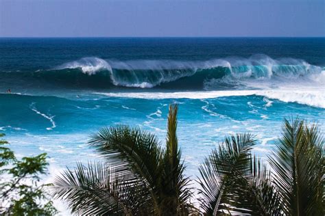 Oahu Waves