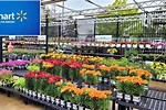 Walmart Vegetable Plants Garden Center