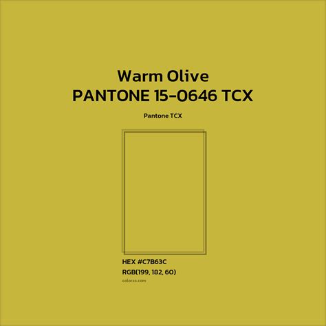 Warm Olive Color