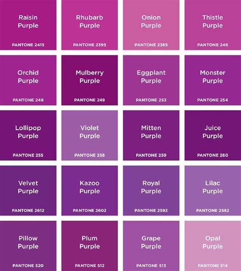Warna Purple