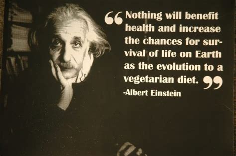 Was Einstein a vegetarian