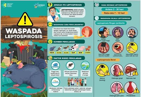 Waspada Leptospirosis