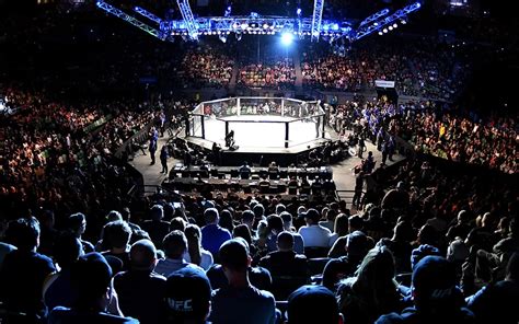 Cara Menonton UFC