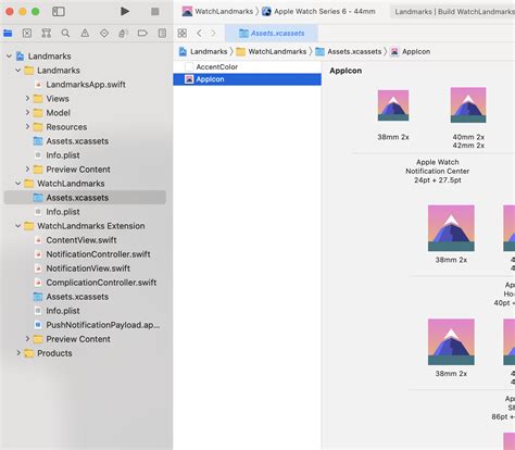 Watchos Which Asset Catalog In Extension Or App
