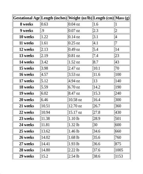 Weight Of Fetus Chart