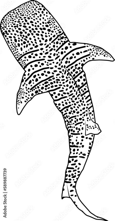 Whale Shark Template