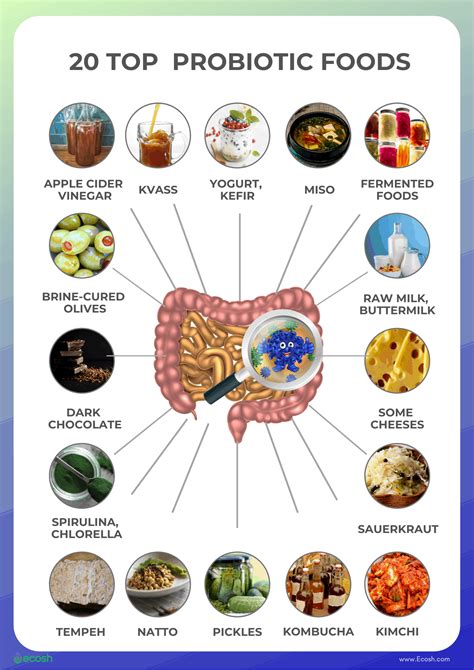 What Foods Have