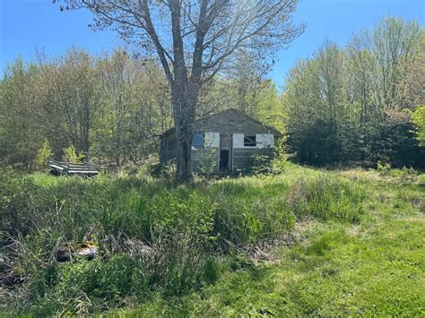 What Happened To Lilly Catalogs By Mail