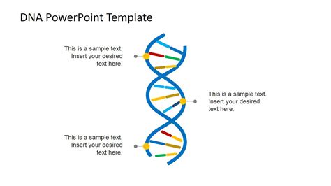 What Is A Dna Template