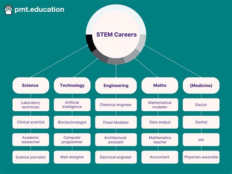 What Is A Stem Career