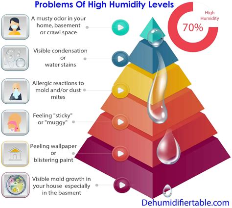 High Humidity