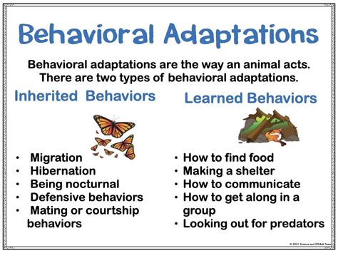 What are 2 types of behavioral adaptation