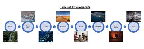 What are 3 types of environments