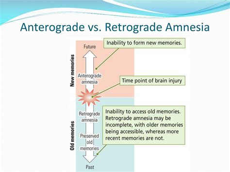 What are anterograde and retrograde amnesia