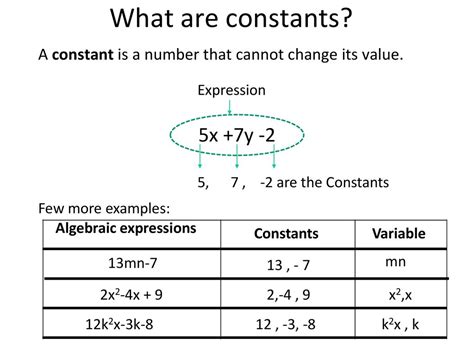 What are constants in an expression