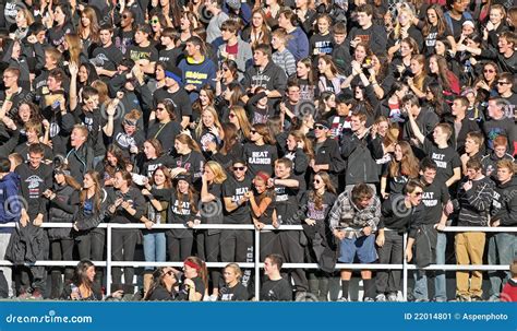 What are crowds in high school