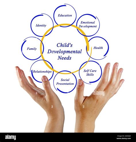 What are developmental needs of a child