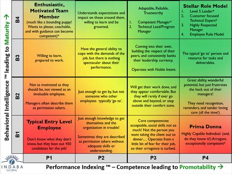 What are examples of performance behaviors
