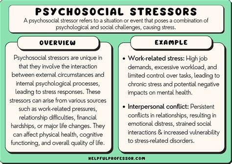 What are examples of stressors