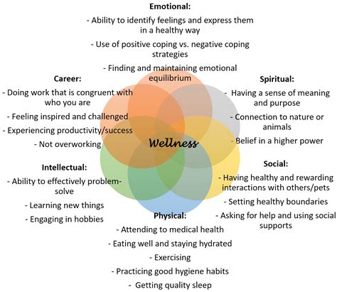 What are examples of wellness practices