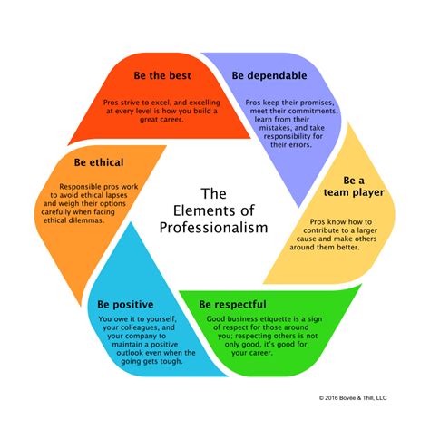 What are four elements of professional behavior