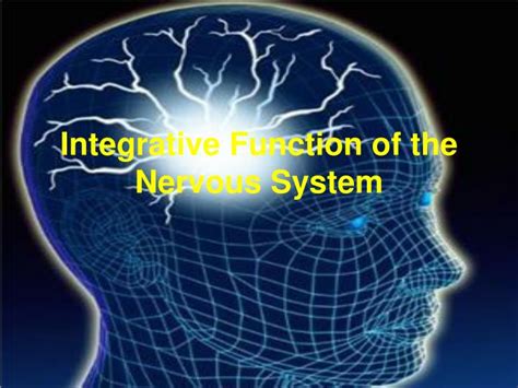 What are integrative functions
