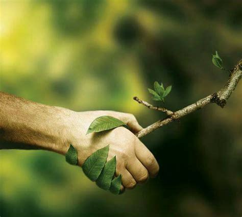 What are relationships in nature
