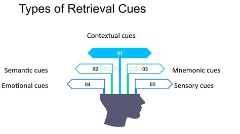 What are some examples of retrieval cues
