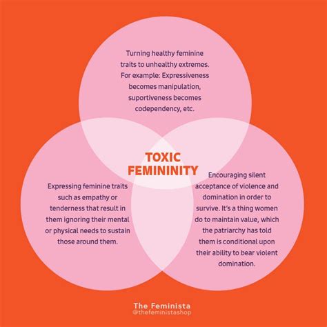What are some examples of toxic feminism