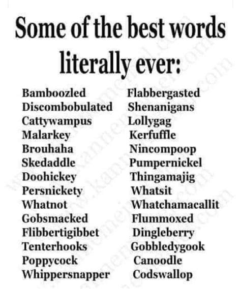 What are some nerdy words