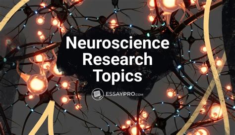 What are some neuroscience topics