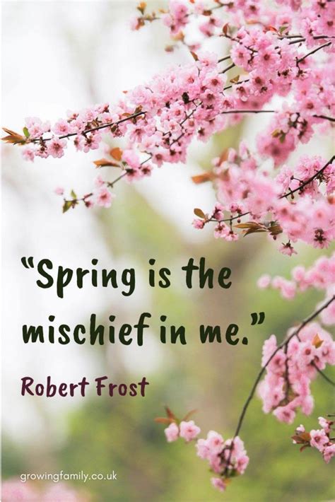 What are some spring sayings