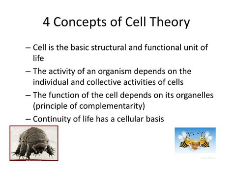 What are the 4 concepts of cell theory