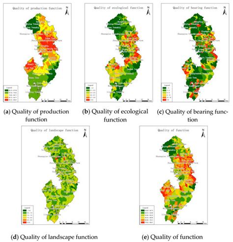 What are the 4 function of the environment
