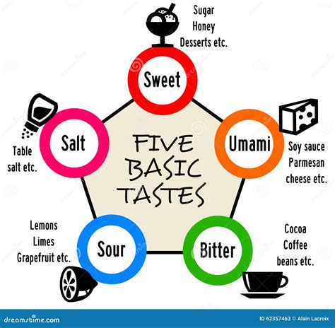 What are the 5 basic tastes