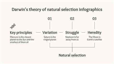 What are the 5 main points of Darwin s theory