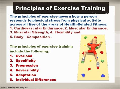 What are the 7 principles of exercise