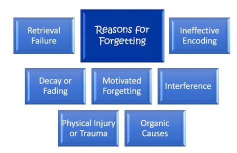What are the causes of forgetting