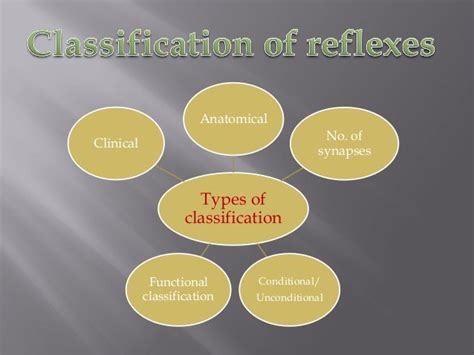 What are the classifications of reflexes