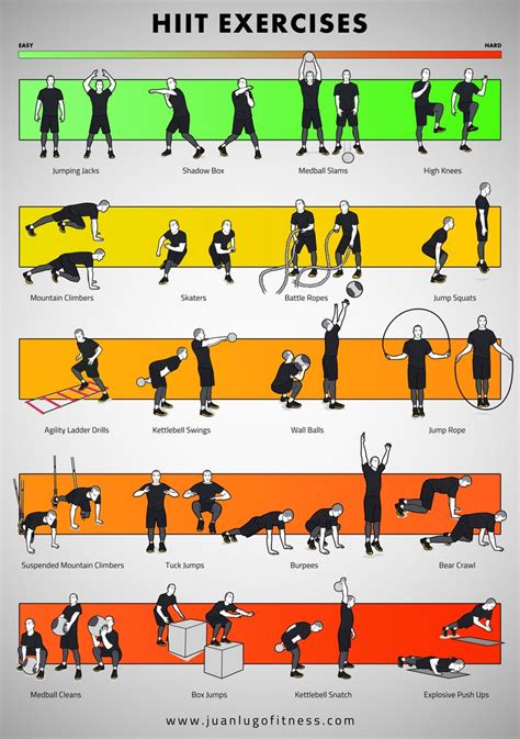 What are the common exercises