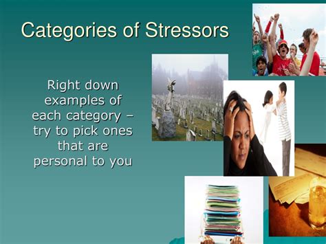 What are the different categories of stressors