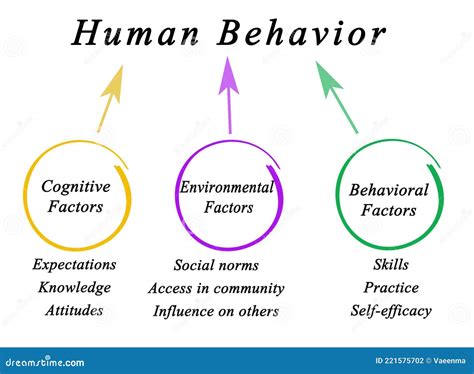 What are the elements of human behavior