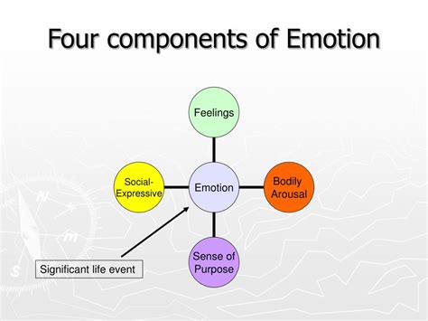 What are the four components of emotion