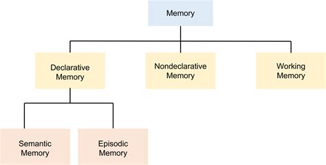 What are the four main types of memory describe each