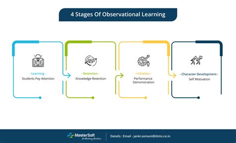 What are the four processes of observational learning